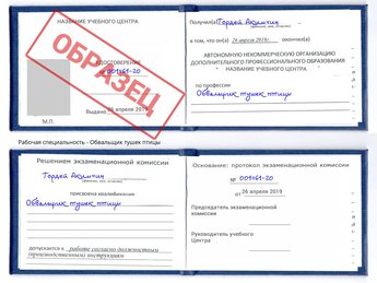 Обучение Обвальщик тушек птицы