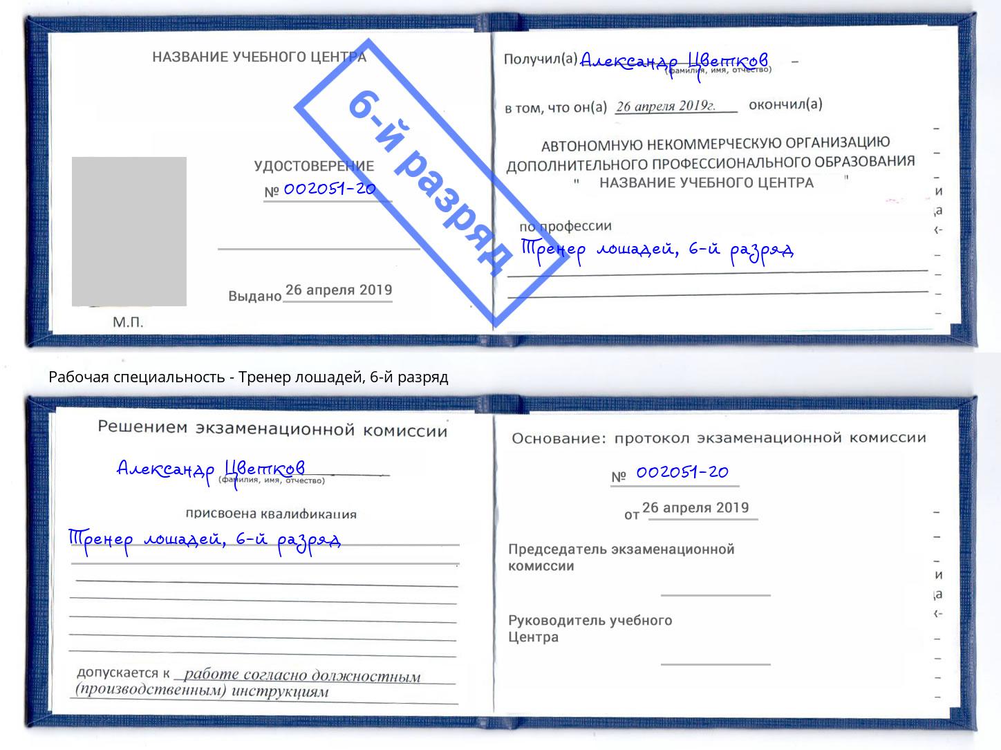 корочка 6-й разряд Тренер лошадей Крымск